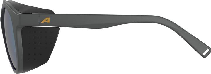 Image du produit ALPINA SPORTS Glace P