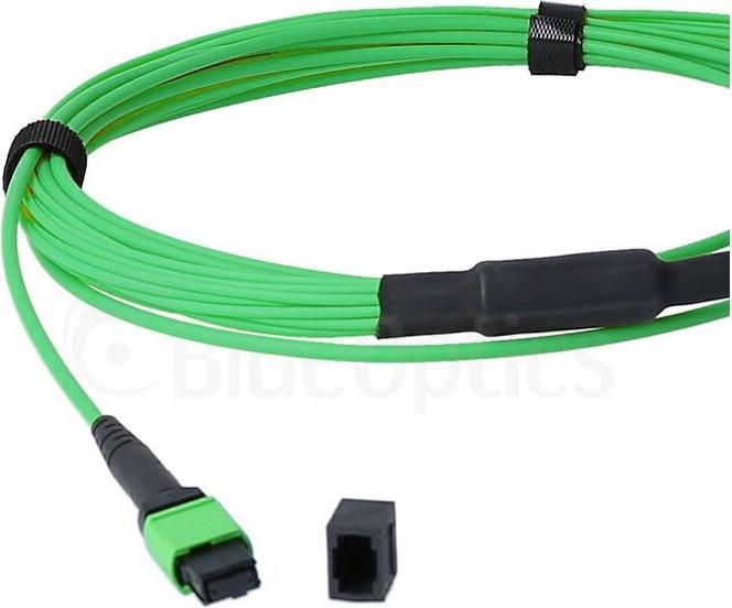 Produktbild BlueOptics LWL MTP/APC-8xLC/UPC Breakout Kabel OM5 2 Meter (2 m)