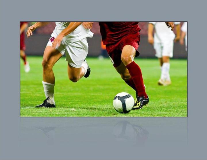 Produktbild Optoma ALR101 (100", 16:9)