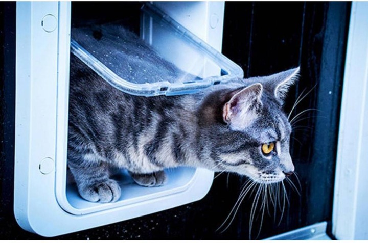 Productafbeelding SureFlap Microchip kattendeur (Microchip kattenluikje)