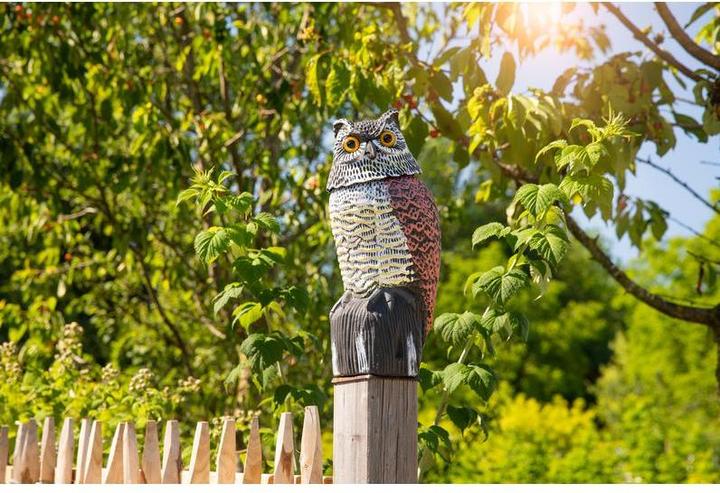 Produktbild Windhager Vogel Abwehr Eule