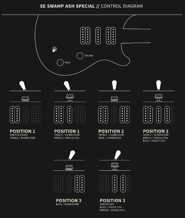 Actual product image PRS Swamp Ash Special (Electric guitar, Swamp Ash, Maple)