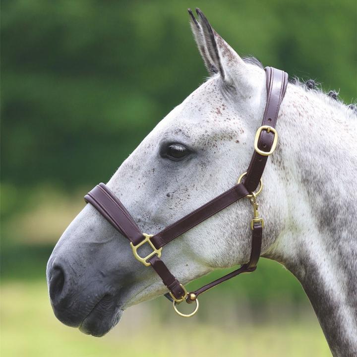 Immagine prodotto Universal Textiles Reise Pferdehalfter Leder