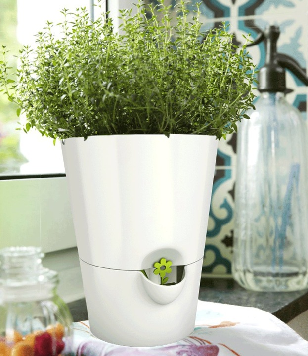 Produktbild Emsa Fresh Herbs (13 cm)