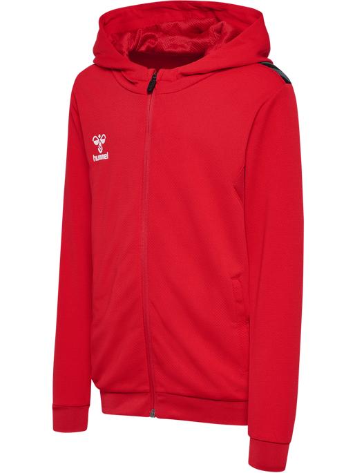 Produktbild hummel Hmlauthentic Pl Zip Hoodie Kids (128)