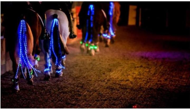 Produktbild Animal Light LED Schweifbeleuchtung Long 20