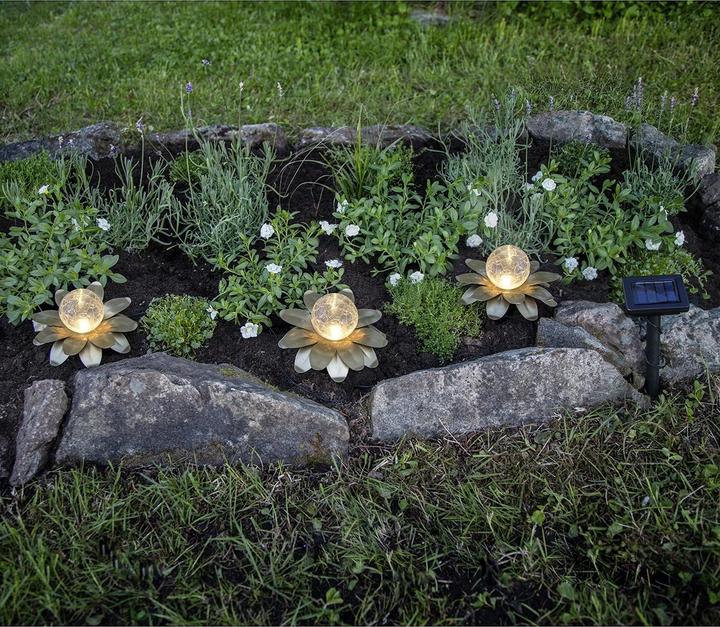 Image du produit Star Trading Solar Decoration Lilly (IP44)