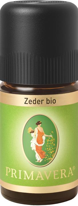 Primavera Zeder* bio