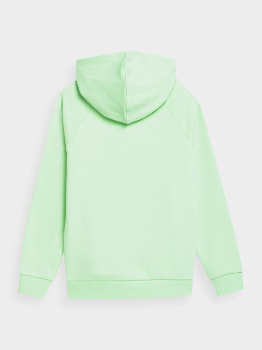 Produktbild 4F SWEATSHIRT M0925 (140)