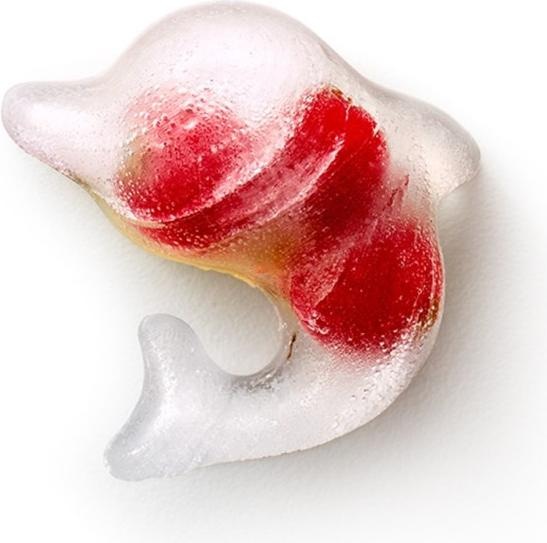 Actual product image Lékué Dolphin