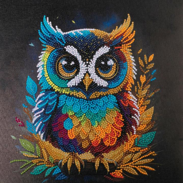 Immagine prodotto Craft Buddy Gufo, Kit artistico in cristallo 30x30cm