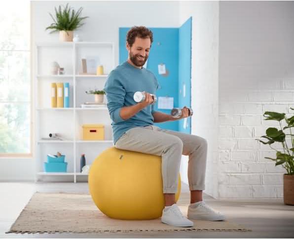Productafbeelding Leitz Ergo Cosy zitbal (65 cm)