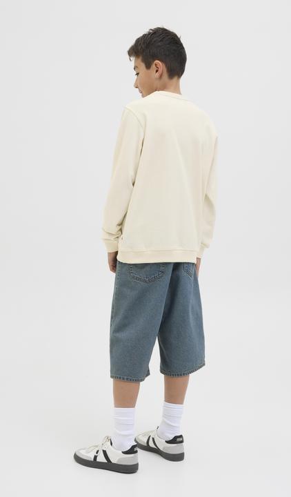 Actual product image Jack & Jones Gedruckt Sweatshirt Junior Sweatshirt (152)