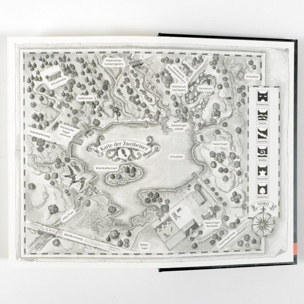 Thumbnail - Warrior Cats - Das gebrochene Gesetz. Licht im Nebel, Kinderbücher von Erin Hunter