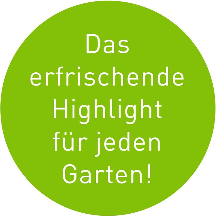 Image du produit Garvida Solar-Gartenfontäne (Irrigateur de surface)