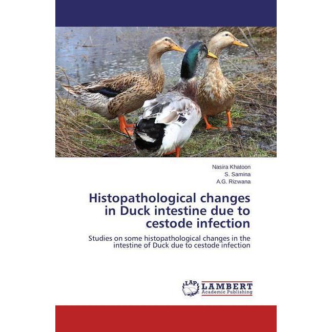Histopathological changes in Duck intestine due to cestode infection, Fachbücher von Nasira Khatoon, A. G. Rizwana, S. S...
