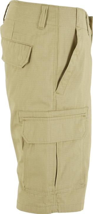 Actual product image Dickies Millerville Shorts (30)