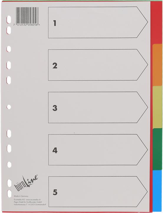 BüroLine Intercalaire PP coloré A4