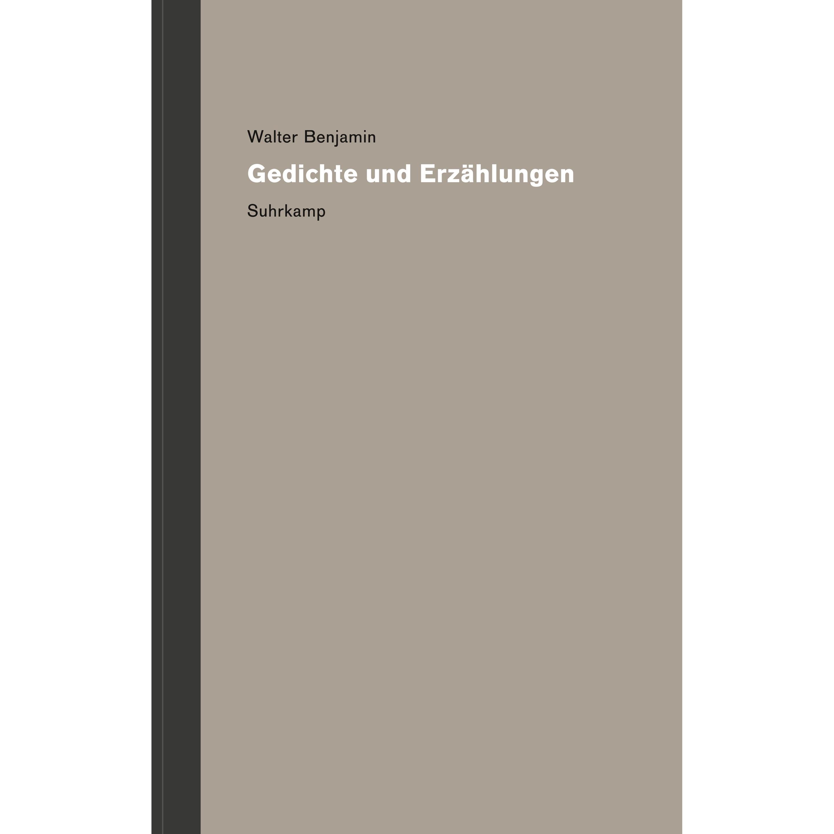 Werke und Nachlass. Kritische Gesamtausgabe, Fachbücher von Walter Benjamin