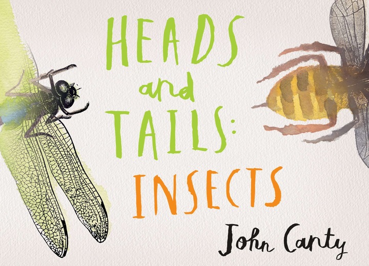 Immagine prodotto Testa e croce: gli insetti (Inglese, John Canty, 2020)