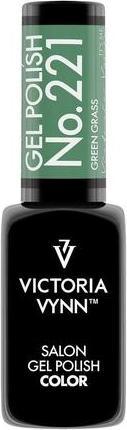 Immagine prodotto Visconti Di Modrone Victoria Vynn Smalto Gel n. 221 Erba Verde