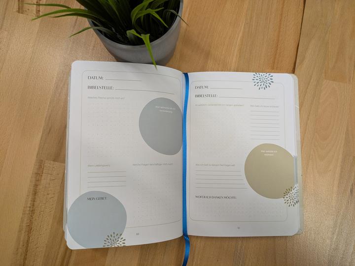 Produktbild Bibellese-Journal (Deutsch, 2025)