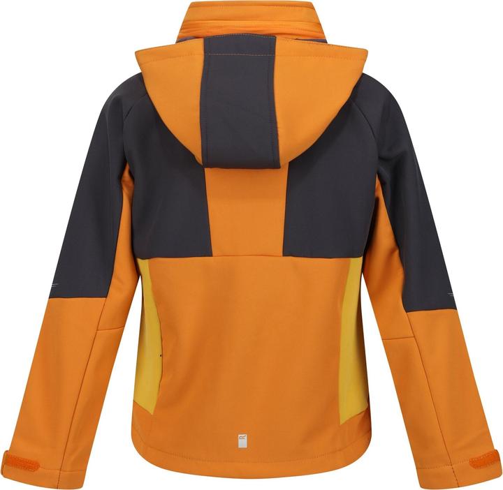 Image du produit Regatta - Veste softshell HAYDENBURY - Enfant (146, 152)