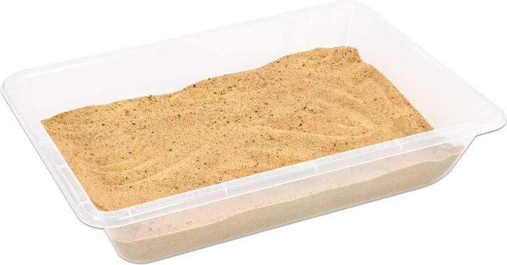 Image du produit Edx Education Bac multi transparent