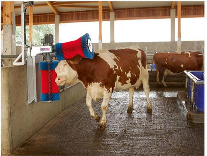 Image du produit Kerbl Brosse de rechange verticale pour HappyCow Duo - - (Cheval)