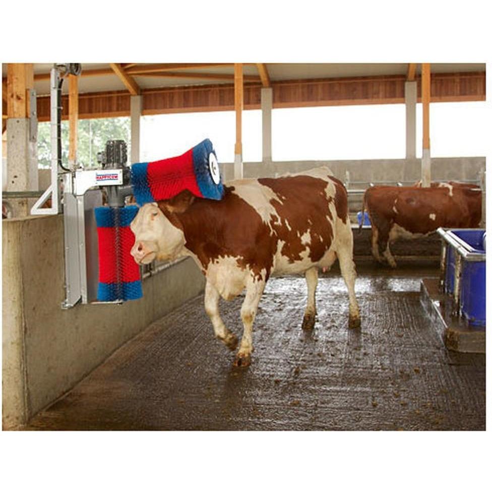 Brosse de rechange horizontale Kerbl HappyCow Duo