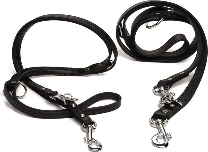 Actual product image Beeztees Dog leash (Dog)