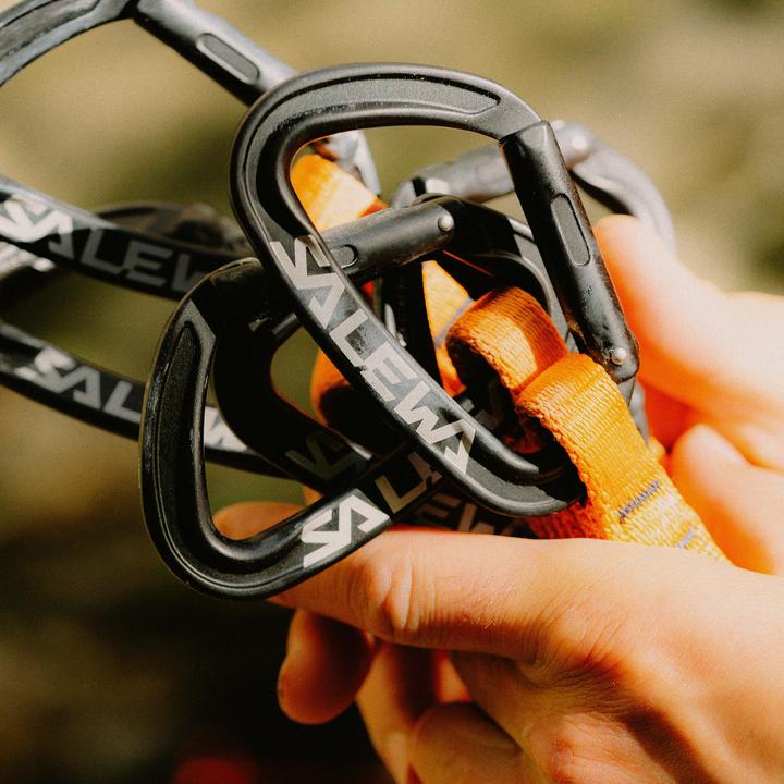 Immagine prodotto Salewa Ortles Hms M Carabiner