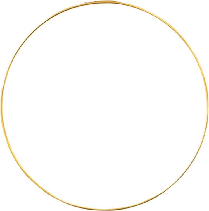 Actual product image Amscan Hanging Decoration Metal Hoop Wedding 25 cm