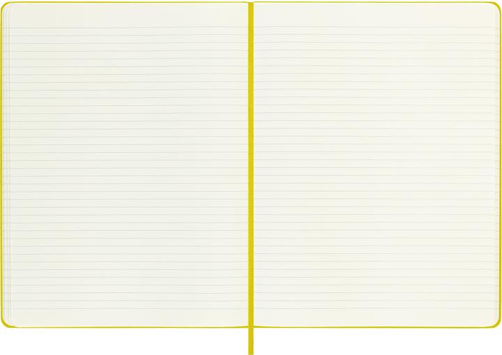 Actual product image Moleskine COLOR - notebooks (25 x 19 cm, Lined)