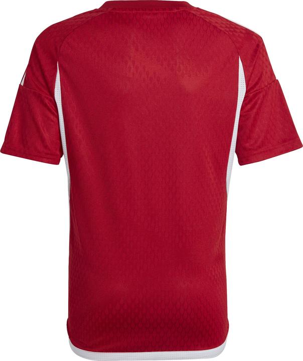 Produktbild adidas Tiro 23 Club Trikot Kinder (164)