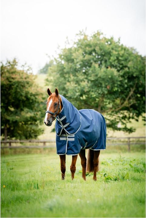 Produktbild Horseware Weidedecke Amigo Ripstop 900 Plus 100g