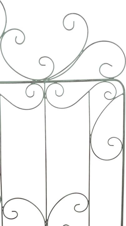 Immagine prodotto CLP Mandevilla (1 cm, 99 cm)