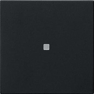 Produktbild Gira 5495005