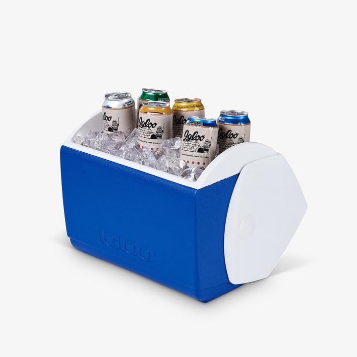 Actual product image Igloo big guardian ice box (15.20 l)