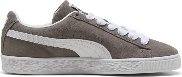 Cast Iron, Puma White