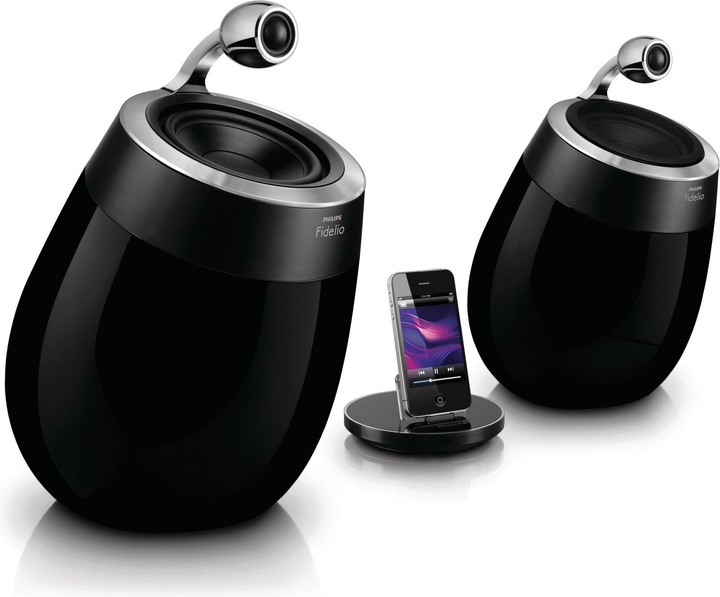 Philips Fidelio DS9800W (Electrical connection)