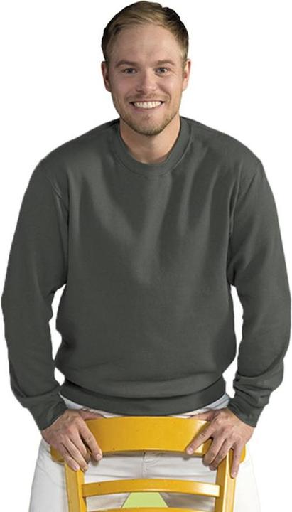 Produktbild Sg Sweatshirt Pullover Rundhalsausschnitt (S)