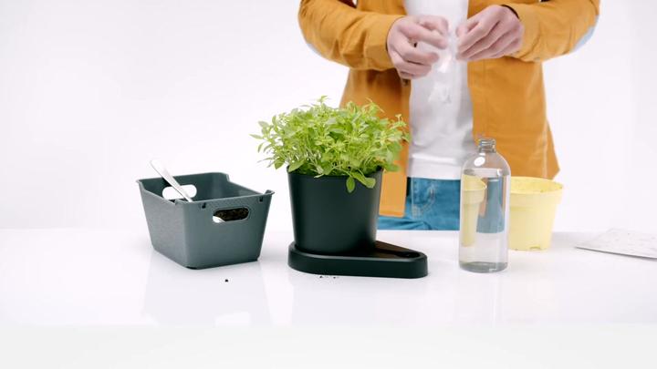 Produktbild Greevi Kräuterheld (10.50 x 21 cm)