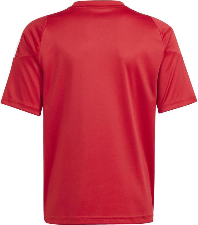 Actual product image adidas TIRO24 JSY Y (128)