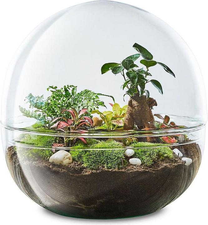 Immagine prodotto Green Bubble Biosfera 3 (27.50 cm)