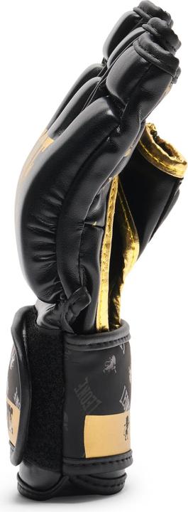 Image du produit Leone Gants MMA DNA GP133 (S)
