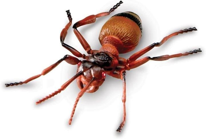 Produktbild Learning Resources Grosse Insekten Lernspielzeug-Set