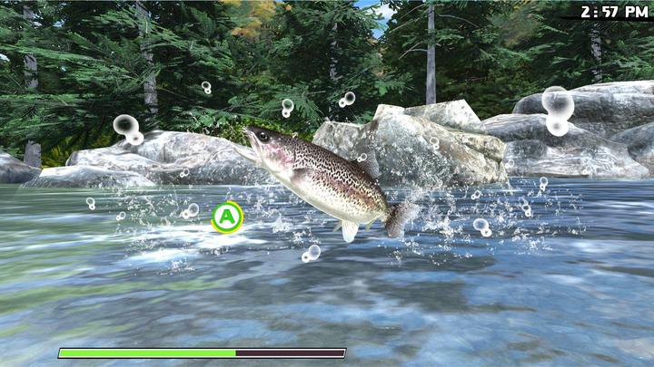 Actual product image Natsume Reel Fishing: Road Trip Adventure (import) (PS4, EN, FR)