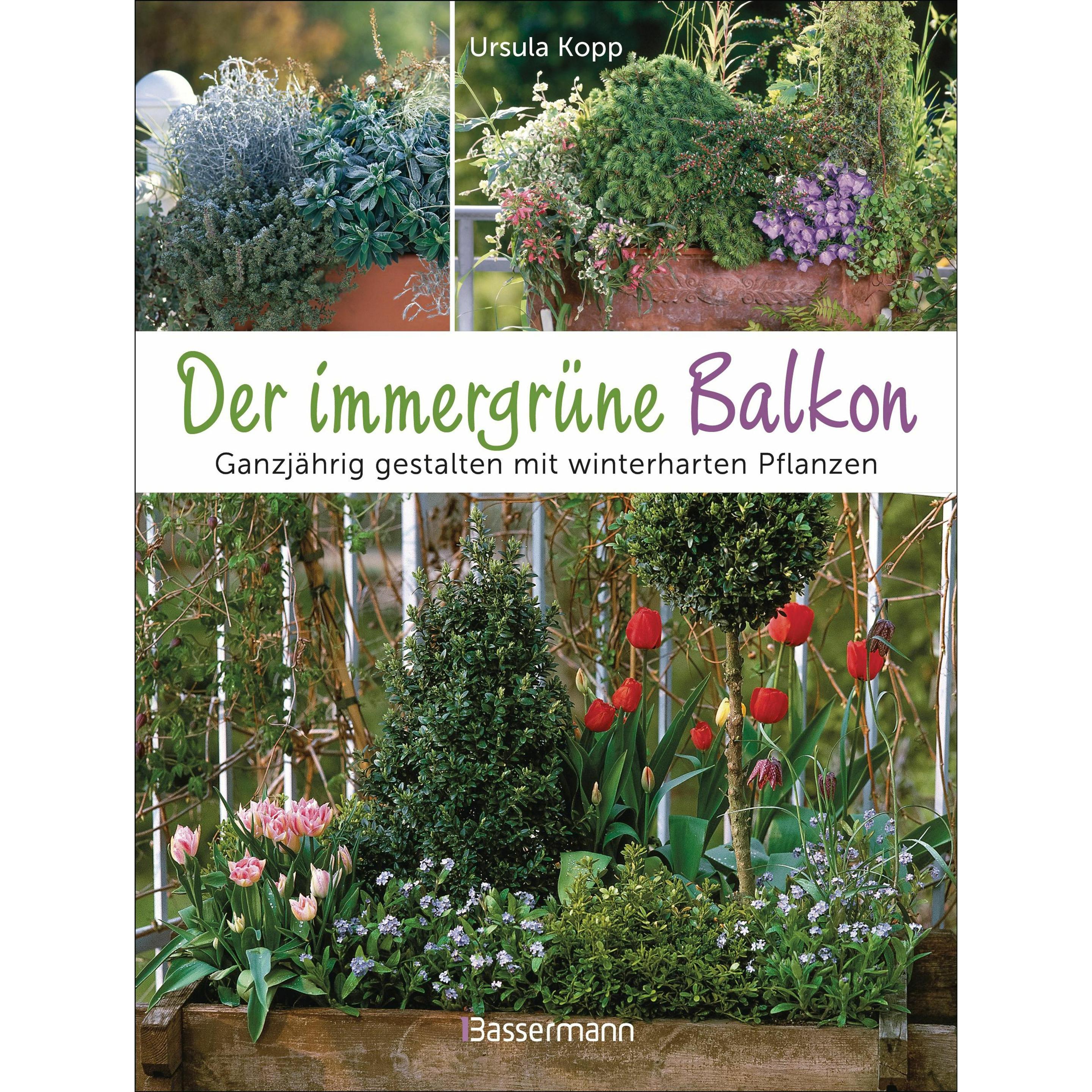 Der immergrüne Balkon. Ganzjährig gestalten mit winterharten Pflanzen, Manuale di Ursula Kopp, Karlheinz Steinberger