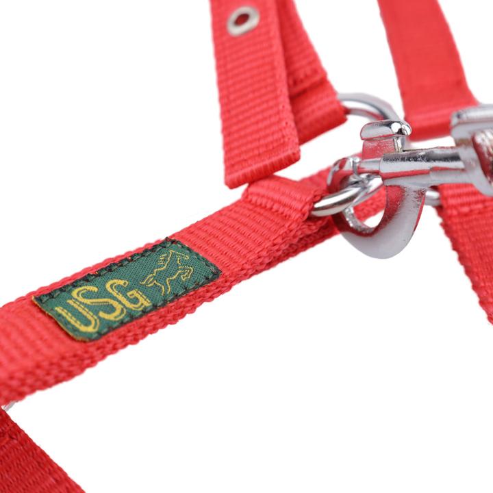 Immagine prodotto Usg Cavezza per puledro